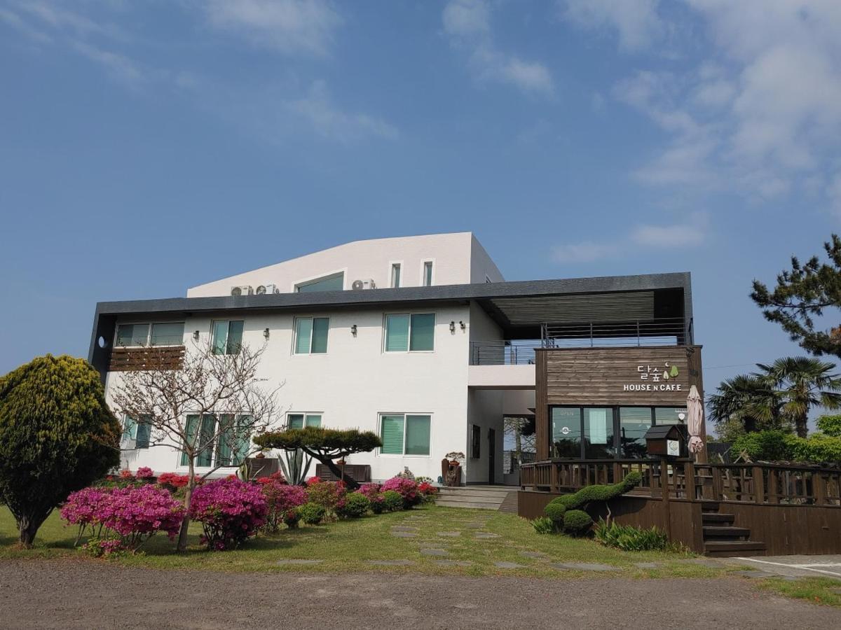 Moon Forest Guesthouse Jeju Buitenkant foto
